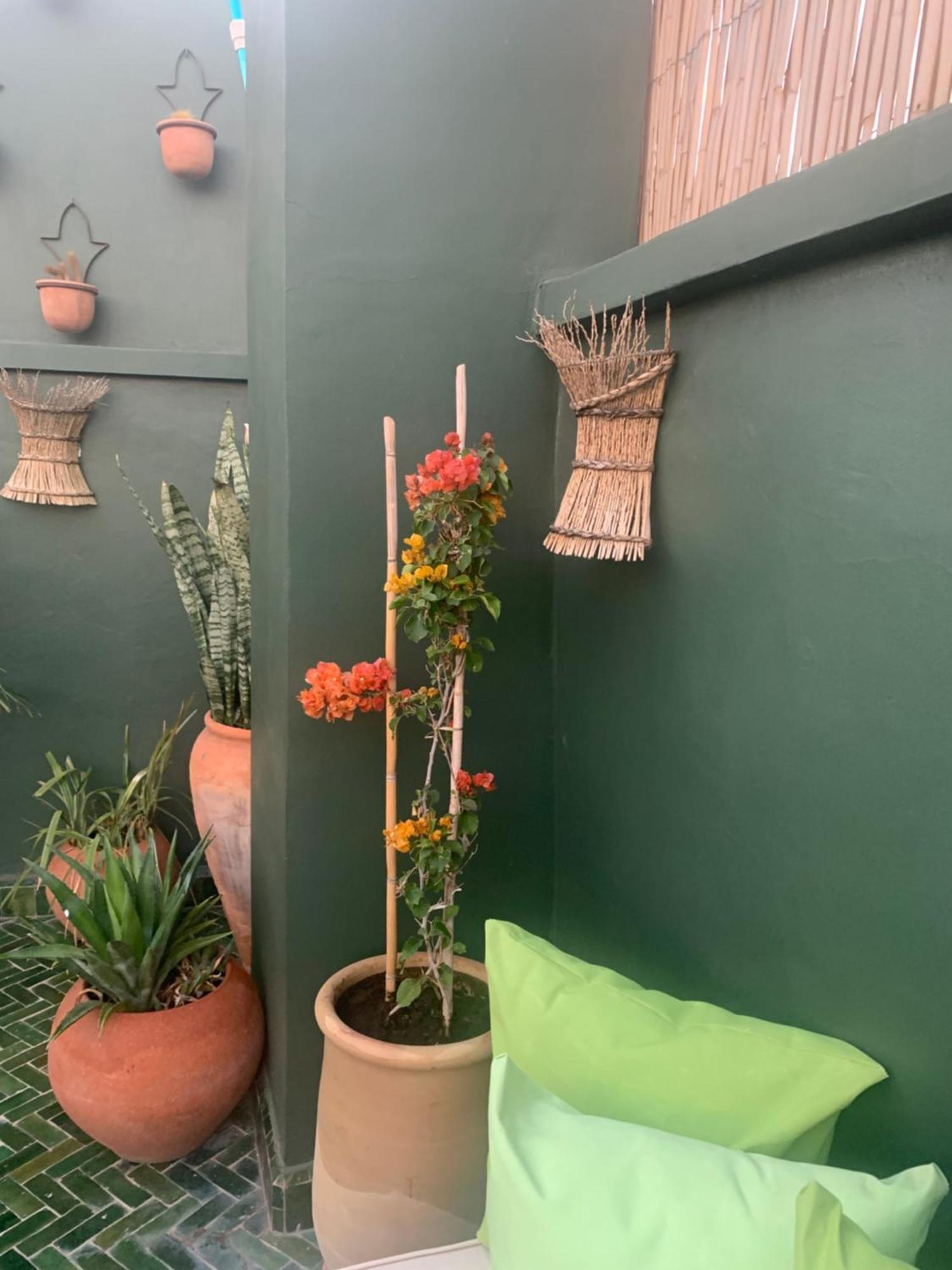 Riad Riad Olive Privatif 4 Personnes Marrakesch